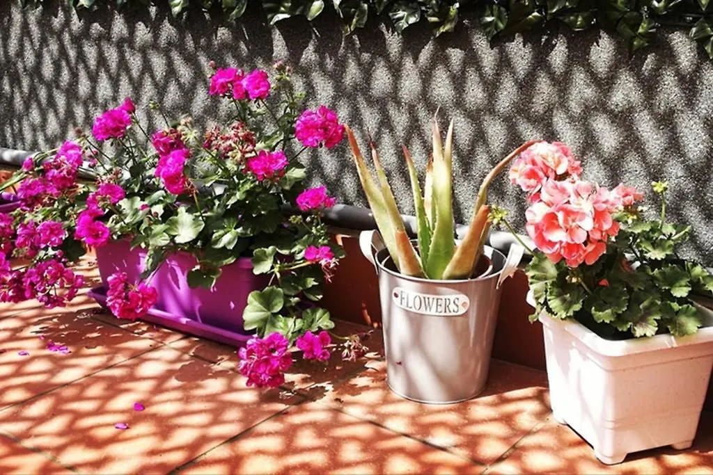 Il Terrazzo Di Liola Apartment Catania